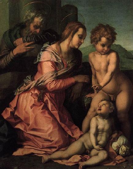 Andrea del Sarto Holy Family Germany oil painting art